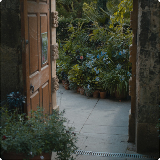 Jardines verticales & Biofília