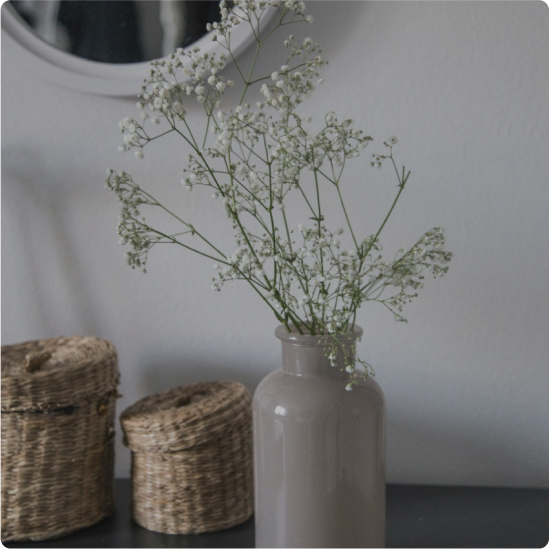 Complementos & Decoración