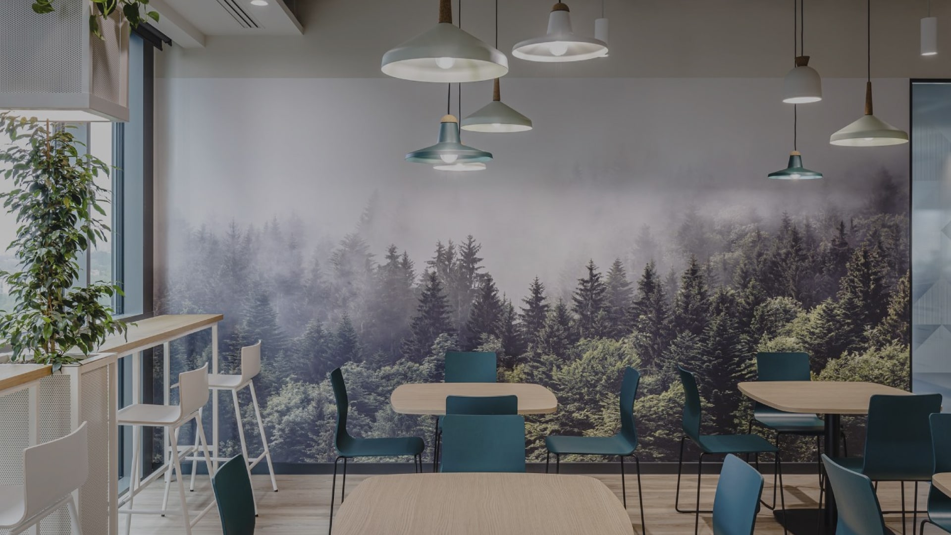 Iluminación Complementos Montte